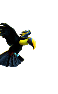 decoration-image on left of tiger